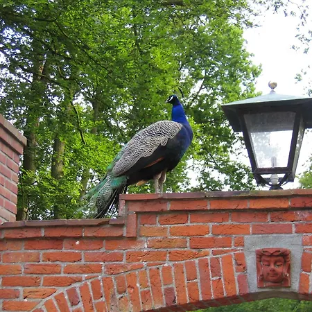 Londons Lodge